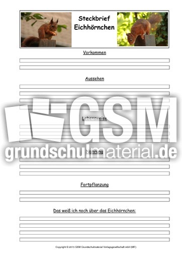 Eichhörnchen-Steckbriefvorlage-1.pdf